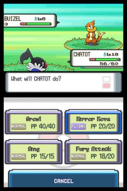 Chatot Vs Buizel